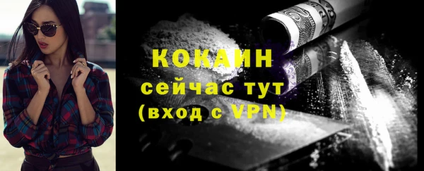 стафф Богданович