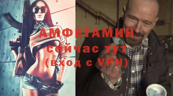 стафф Богданович