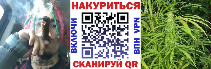 Шишки марихуана планчик  ссылка на мегу зеркало  Великий Устюг 